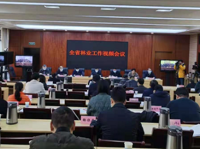 江西省林业局召开全省林业工作视频会议