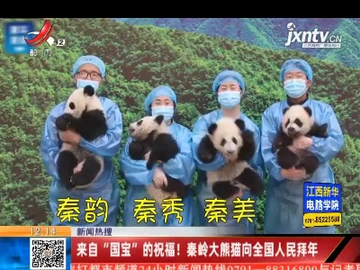 【新闻热搜】来自“国宝”的祝福！ 秦岭大熊猫向全国人民拜年