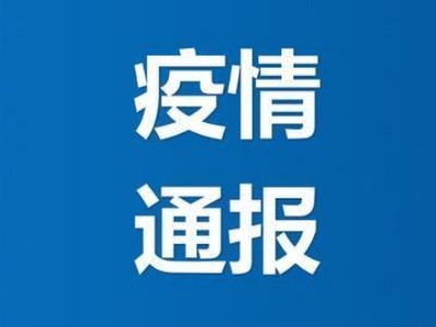 国家卫健委：2月10日31省份新增确诊病例2例 均为境外输入病例 