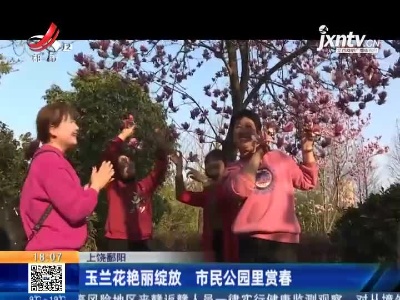 上饶鄱阳：玉兰花艳丽绽放 市民公园里赏春