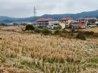 【聚焦“放管服”改革 曝光“怕慢假庸散”】鹰潭贵溪：小农水工程欠薪 农民工苦等5年
