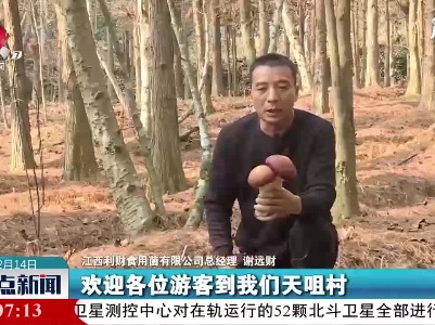 【犇游江西·温暖过年】广昌：林下休闲采摘游兴起
