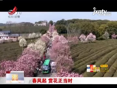 新闻晚高峰20210228