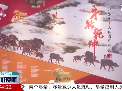 景德镇举办“牛转乾坤—新春生肖瓷及文物图片联展”