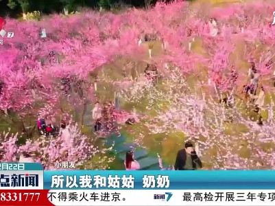 【百花争艳春意浓】九江：春光无限好 赏梅正当时