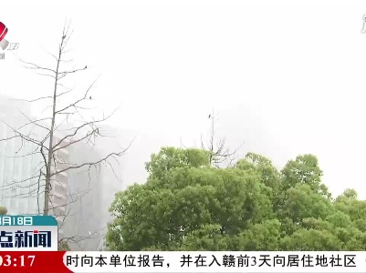 江西：春季大雾高发 出行“雾”必留心
