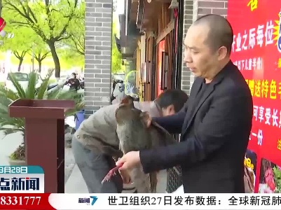 婺源：白鹇突然坠地 林业部门及时救助
