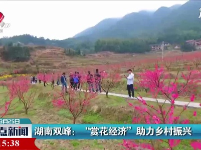 湖南双峰：“赏花经济”助力乡村振兴