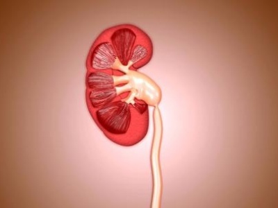 生命不能承受之“重”：中国一亿多人的肾怎么了？