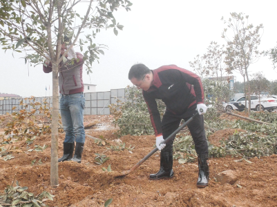 进贤县组织开展2021年新春义务植树活动