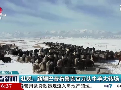 壮观：新疆巴音布鲁克百万头牛羊大转场