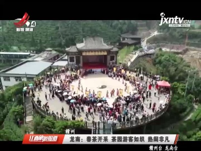 赣州龙南：春茶开采 茶园游客如织 热闹非凡
