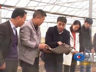 社会传真20210324 科技兴农 耕耘希望