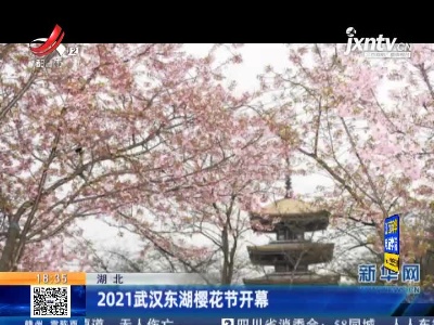 湖北：2021武汉东湖樱花节开幕