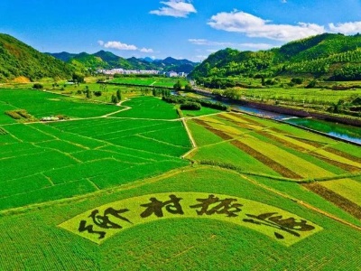 首批十只乡村振兴票据落地