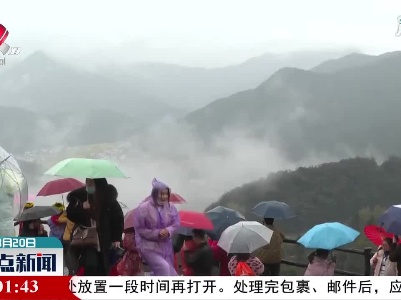 婺源：春风十里细雨飞 梯田花海迎客来