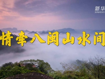 新华全媒+｜情牵八闽山水间   