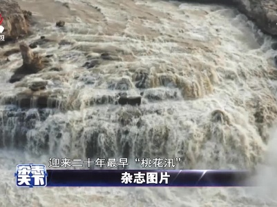 黄河壶口瀑布景区 迎来二十年最早“桃花汛”