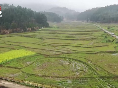 宜黄县：农业水价综合改革盘活一池清水