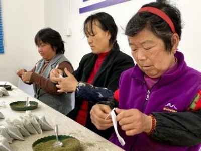 小小迷迭香 化身致富草