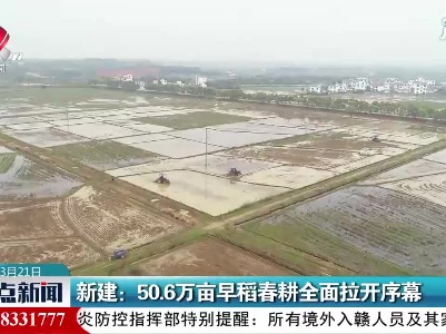 整点新闻20210321 16:00