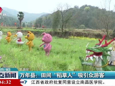 万年县：田间“稻草人” 吸引众游客