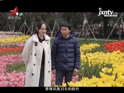 稻花香里20210318 乡村发现——烂漫花开惹人醉