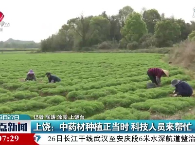 上饶：中药材种植正当时 科技人员来帮忙