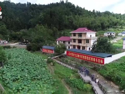 【奋斗百年路 启航新征程 · 学党史 悟思想 办实事 开新局】井冈山：学史砺初心 阔步新征程