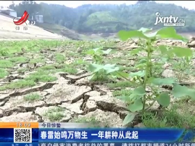 【今日惊蛰】春雷始鸣万物生 一年耕种从此起