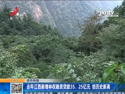 2020年江西新增林权融资贷款35.25亿元 创历史新高