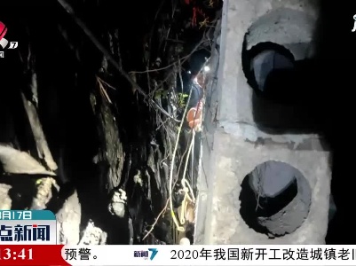 上饶：黄麂夜闯鸡笼被卡 消防林业联手救援