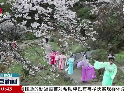 武宁：樱花谷云中唱大戏 传统戏无处不“惊艳”