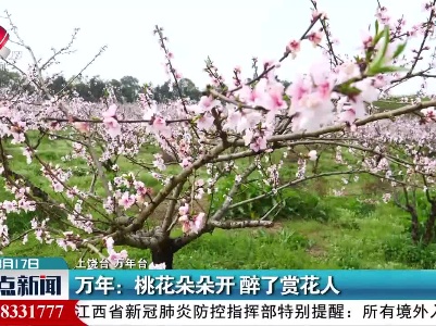 万年：桃花朵朵开 醉了赏花人