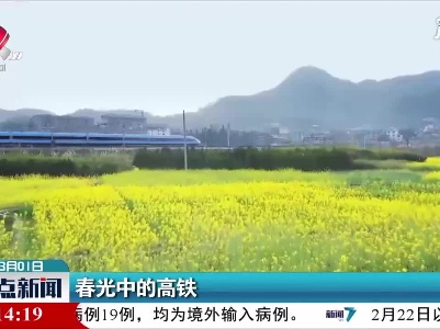 春光中的高铁