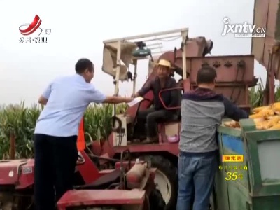 银保监会：持续加大“三农”信贷投放支持