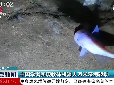 中国学者实现软体机器人万米深海驱动