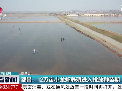 都昌：12万亩小龙虾养殖进入投放种苗期