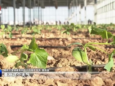 人勤春来早 春耕备耕忙