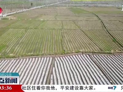 上饶各地春耕备耕忙