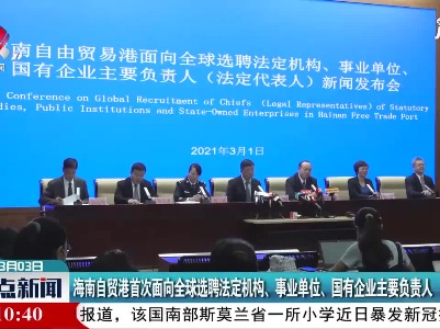 海南自贸港首次面向全球选聘法定机构、事业单位、国有企业主要负责人