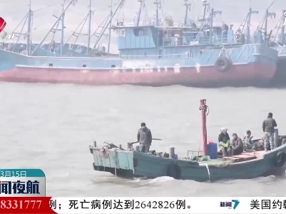 青岛胶州湾海星泛滥