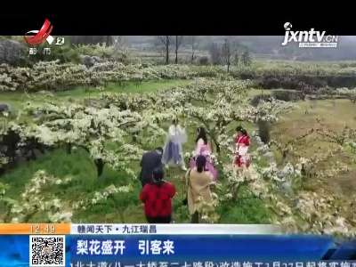 【赣闻天下】九江瑞昌：梨花盛开 引客来