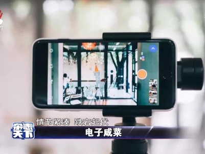 电子咸菜