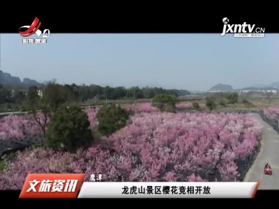 鹰潭：龙虎山景区樱花竞相开放