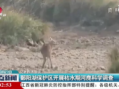 鄱阳湖保护区开展枯水期河麂科学调查