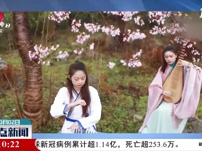 武宁：十里野樱开遍山谷