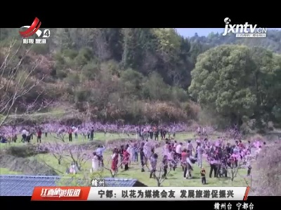 赣州宁都：以花为媒桃会友 发展旅游促振兴