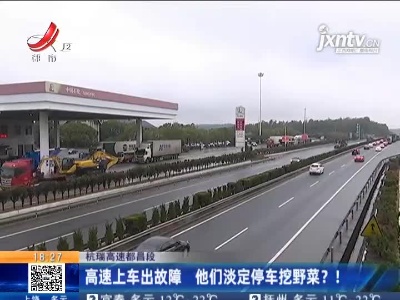杭瑞高速都昌段：高速上车出故障 他们淡定停车挖野菜？！