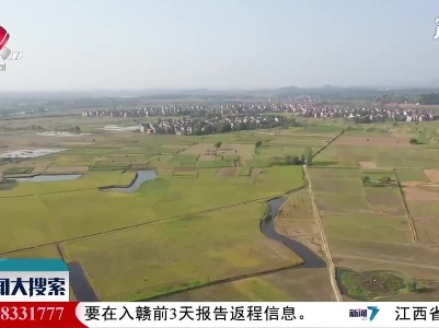 新闻大搜索20210317